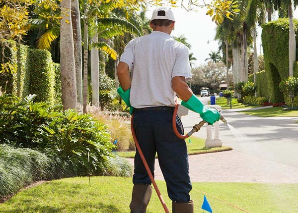 About Cottonwood ID Pest Control Pros